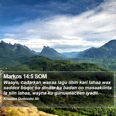 Markos 14:5 SOM Bible Verse Image