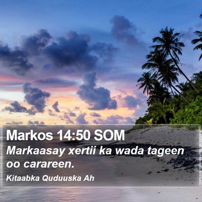 Markos 14:50 SOM Bible Verse Image