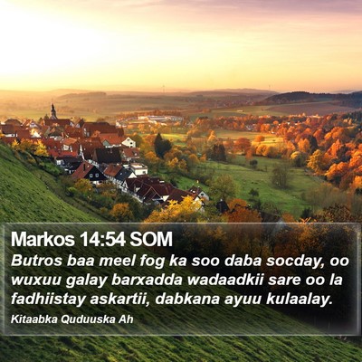 Markos 14:54 SOM Bible Verse Image
