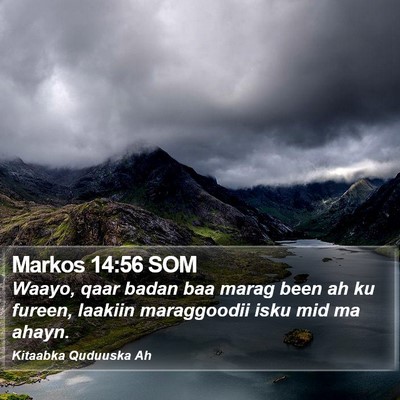 Markos 14:56 SOM Bible Verse Image