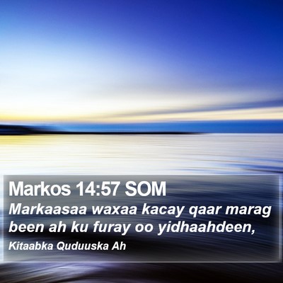 Markos 14:57 SOM Bible Verse Image