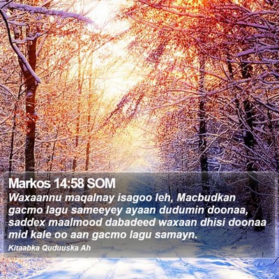 Markos 14:58 SOM Bible Verse Image