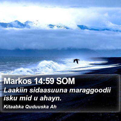 Markos 14:59 SOM Bible Verse Image