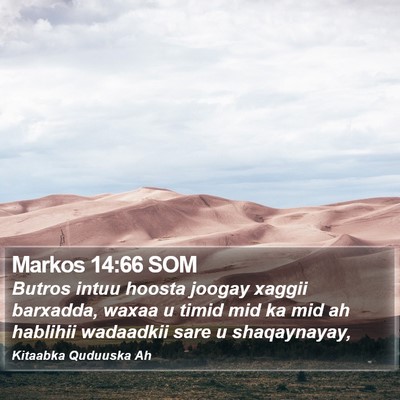 Markos 14:66 SOM Bible Verse Image