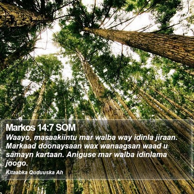Markos 14:7 SOM Bible Verse Image