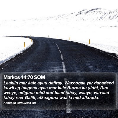 Markos 14:70 SOM Bible Verse Image