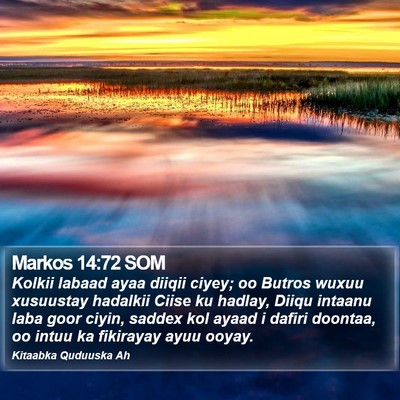 Markos 14:72 SOM Bible Verse Image