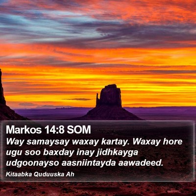 Markos 14:8 SOM Bible Verse Image
