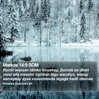Markos 14:9 SOM Bible Verse Image