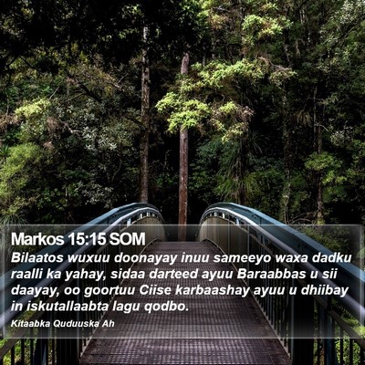 Markos 15:15 SOM Bible Verse Image