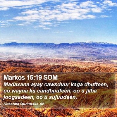 Markos 15:19 SOM Bible Verse Image