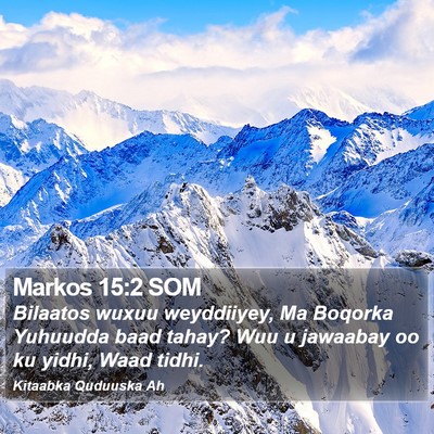 Markos 15:2 SOM Bible Verse Image