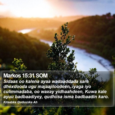 Markos 15:31 SOM Bible Verse Image