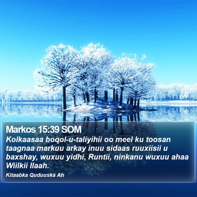Markos 15:39 SOM Bible Verse Image