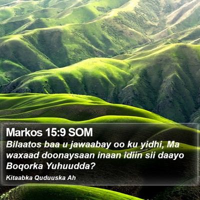 Markos 15:9 SOM Bible Verse Image