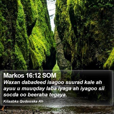 Markos 16:12 SOM Bible Verse Image