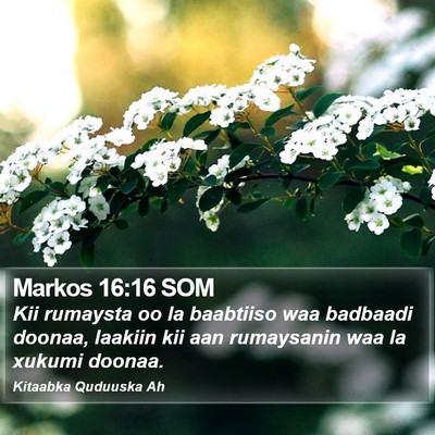 Markos 16:16 SOM Bible Verse Image