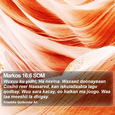 Markos 16:6 SOM Bible Verse Image