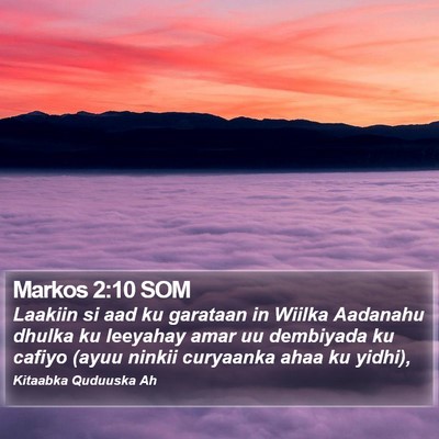 Markos 2:10 SOM Bible Verse Image