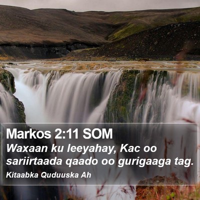 Markos 2:11 SOM Bible Verse Image