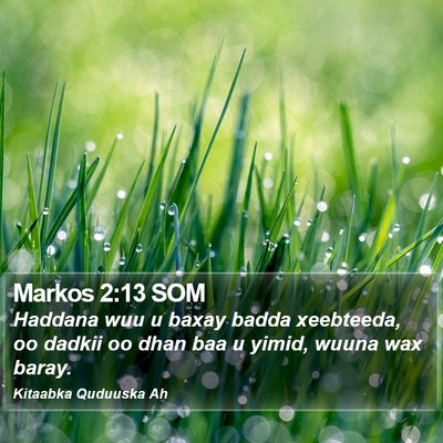 Markos 2:13 SOM Bible Verse Image