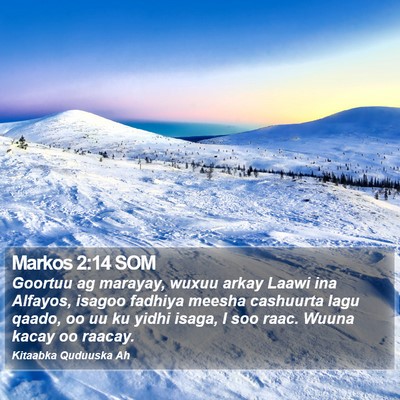 Markos 2:14 SOM Bible Verse Image