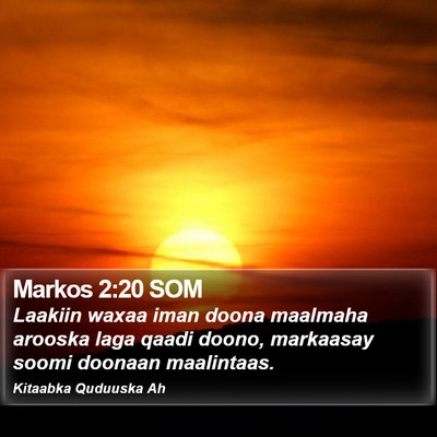 Markos 2:20 SOM Bible Verse Image