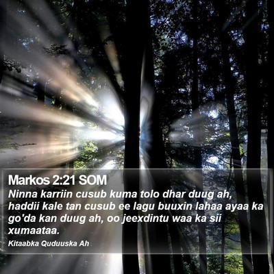 Markos 2:21 SOM Bible Verse Image