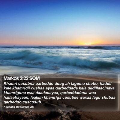 Markos 2:22 SOM Bible Verse Image