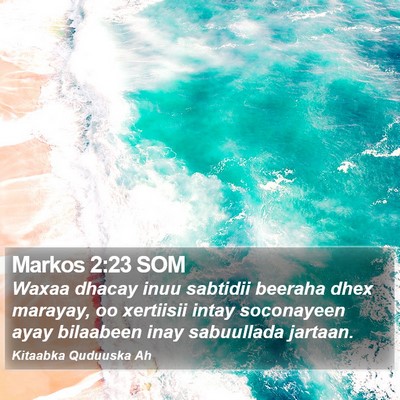 Markos 2:23 SOM Bible Verse Image