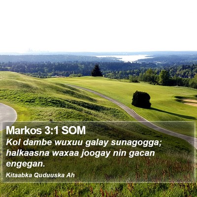 Markos 3:1 SOM Bible Verse Image