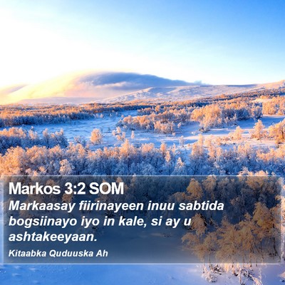 Markos 3:2 SOM Bible Verse Image
