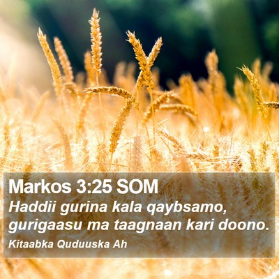 Markos 3:25 SOM Bible Verse Image