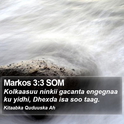 Markos 3:3 SOM Bible Verse Image