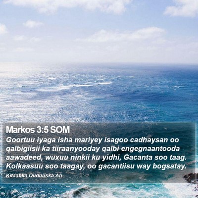 Markos 3:5 SOM Bible Verse Image