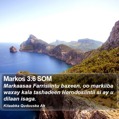 Markos 3:6 SOM Bible Verse Image