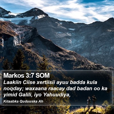 Markos 3:7 SOM Bible Verse Image