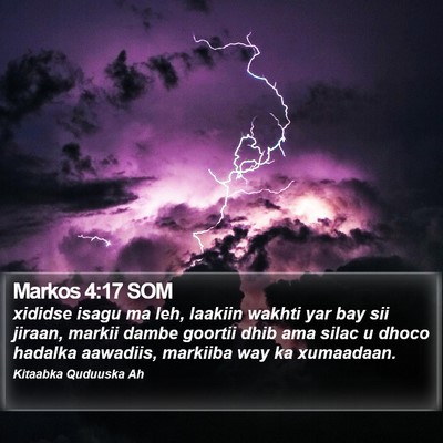 Markos 4:17 SOM Bible Verse Image
