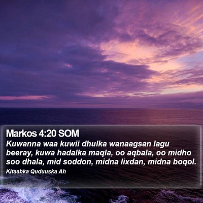 Markos 4:20 SOM Bible Verse Image