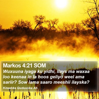 Markos 4:21 SOM Bible Verse Image