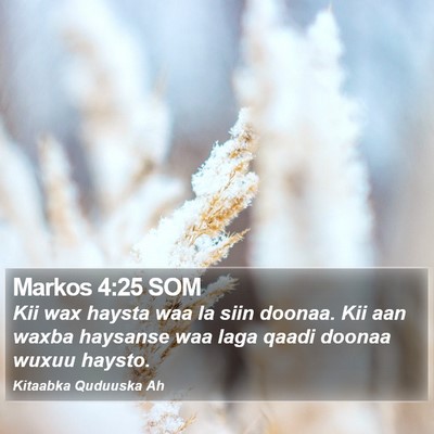 Markos 4:25 SOM Bible Verse Image