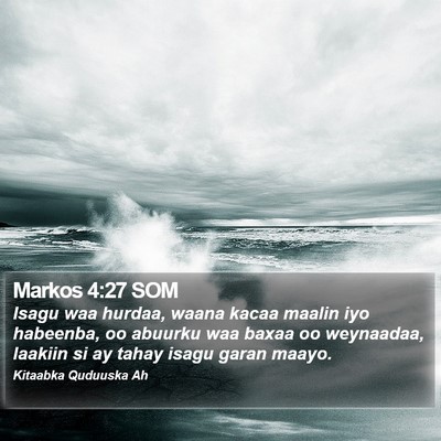 Markos 4:27 SOM Bible Verse Image