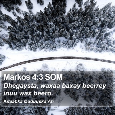 Markos 4:3 SOM Bible Verse Image