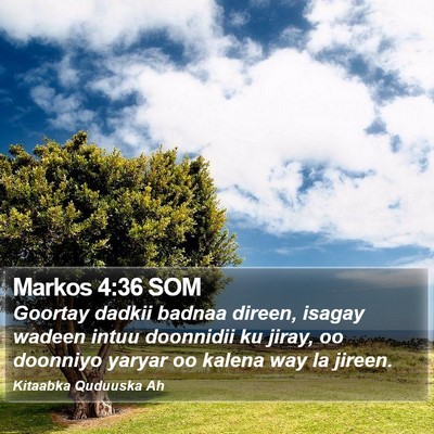 Markos 4:36 SOM Bible Verse Image