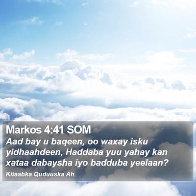 Markos 4:41 SOM Bible Verse Image