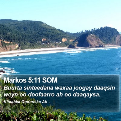 Markos 5:11 SOM Bible Verse Image