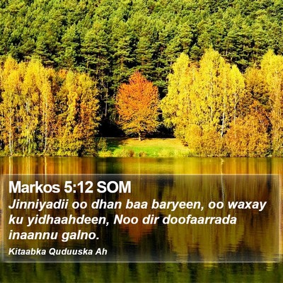 Markos 5:12 SOM Bible Verse Image