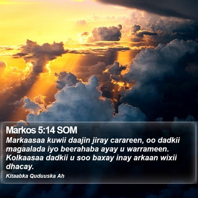 Markos 5:14 SOM Bible Verse Image