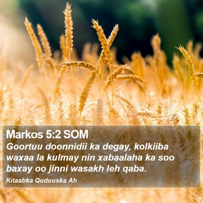 Markos 5:2 SOM Bible Verse Image