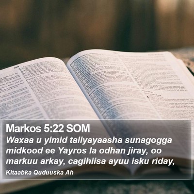 Markos 5:22 SOM Bible Verse Image